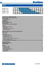 Предварительный просмотр 2 страницы Ecoflam MAIOR P 1000.1 PRE Manual