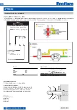 Предварительный просмотр 30 страницы Ecoflam MAIOR P 1000.1 PRE Manual