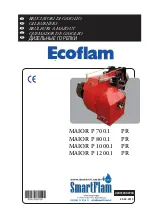 Preview for 1 page of Ecoflam MAIOR P 1000.1 Operator'S Manual