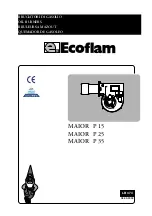 Ecoflam MAIOR P 15 Instructions Manual preview