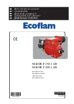 Предварительный просмотр 1 страницы Ecoflam MAIOR P 150.1 AB Manual