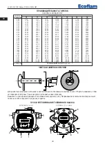 Предварительный просмотр 28 страницы Ecoflam MAIOR P 150.1 AB Manual