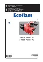 Ecoflam Maior P 150.1 PR Manual preview