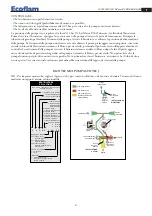 Preview for 5 page of Ecoflam MAIOR P 300.1 AB Manual