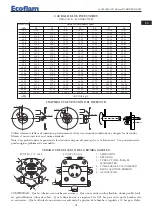 Preview for 31 page of Ecoflam MAIOR P 300.1 AB Manual