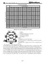 Предварительный просмотр 10 страницы Ecoflam Maior P 500.1 AB Manual