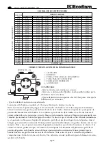 Предварительный просмотр 22 страницы Ecoflam Maior P 500.1 AB Manual