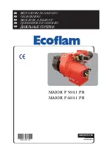 Предварительный просмотр 1 страницы Ecoflam MAIOR P 500.1 PR Manual