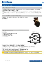 Предварительный просмотр 17 страницы Ecoflam MAIOR P 500-1 PRE Operating Instructions Manual