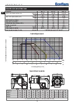 Предварительный просмотр 26 страницы Ecoflam MAX 15 Manual