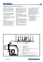 Предварительный просмотр 19 страницы Ecoflam MAX GAS 170 P Manual