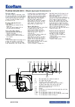 Предварительный просмотр 49 страницы Ecoflam MAX GAS 170 P Manual