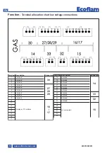 Предварительный просмотр 14 страницы Ecoflam MAX GAS 170 PAB Manual