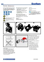 Предварительный просмотр 22 страницы Ecoflam MAX GAS 170 PAB Manual