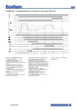 Предварительный просмотр 31 страницы Ecoflam MAX GAS 170 PAB Manual