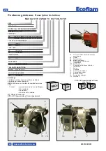 Предварительный просмотр 46 страницы Ecoflam MAX GAS 170 PAB Manual