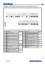 Предварительный просмотр 51 страницы Ecoflam MAX GAS 170 PAB Manual