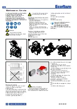 Предварительный просмотр 60 страницы Ecoflam MAX GAS 170 PAB Manual