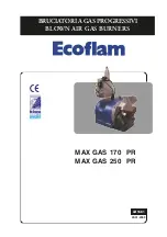 Ecoflam MAX GAS 170 PR Manual preview