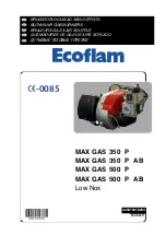 Ecoflam MAX GAS 350 P AB Instructions Manual preview