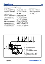 Предварительный просмотр 9 страницы Ecoflam MAX GAS 350 P Manual