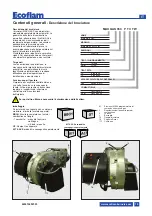 Предварительный просмотр 19 страницы Ecoflam MAX GAS 350 P Manual