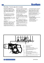 Предварительный просмотр 20 страницы Ecoflam MAX GAS 350 P Manual