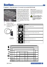 Предварительный просмотр 21 страницы Ecoflam MAX GAS 350 P Manual