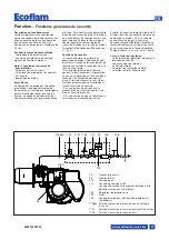 Предварительный просмотр 31 страницы Ecoflam MAX GAS 350 P Manual