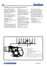 Предварительный просмотр 42 страницы Ecoflam MAX GAS 350 P Manual