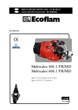 Ecoflam Multicalor 300.1 PR Manual preview