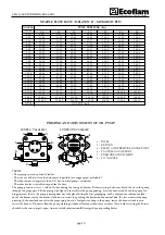 Preview for 10 page of Ecoflam Multicalor 300.1 Manual