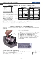 Предварительный просмотр 30 страницы Ecoflam Multiflam 1000.1 Manual