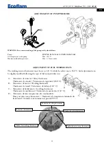 Предварительный просмотр 11 страницы Ecoflam Multiflam 170.1 AB/AB Manual