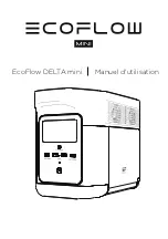 Preview for 19 page of EcoFlow DELTA mini User Manual