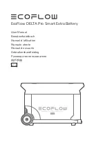 Preview for 1 page of EcoFlow DELTA Pro Smart Extra Battery User Manual