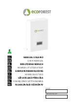 Preview for 1 page of ECOFOREST ecoSMART PSM Gen1 User Manual