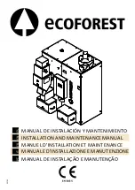 ECOFOREST Vap 100 Installation And Maintenance Manual preview