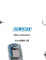 Предварительный просмотр 1 страницы Ecom Instruments Ex-GSM 01 Safety Instructions