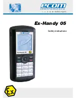 Предварительный просмотр 1 страницы Ecom Instruments Ex-Handy 05 Safety Instructions