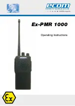 Предварительный просмотр 1 страницы Ecom Instruments Ex-PMR 1000 Operating Instructions Manual