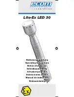 Ecom Instruments Lite-Ex LED 30 Operating Instructions Manual предпросмотр