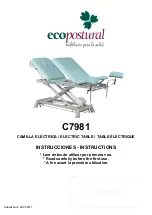 ECOPOSTURAL C7981 Instructions Manual preview