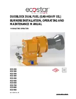 Preview for 1 page of ECOSTAR ECO 300 Installation, Operating And Maintenance Manual