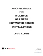 ECR International AMB-4 Application Manual preview