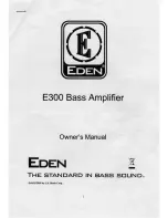 Preview for 1 page of Eden E300 NEVER COMPROMISE Owner'S Manual