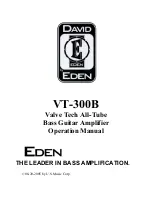 Eden Valve Tech VT-300B Operation Manual preview