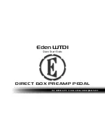 Eden WTDI WORLD TOUR Quick Start Manual preview