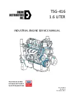 Предварительный просмотр 1 страницы EDI TSG-416 Service Manual