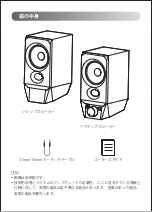 Preview for 45 page of EDIFIER EDF100039 Manual